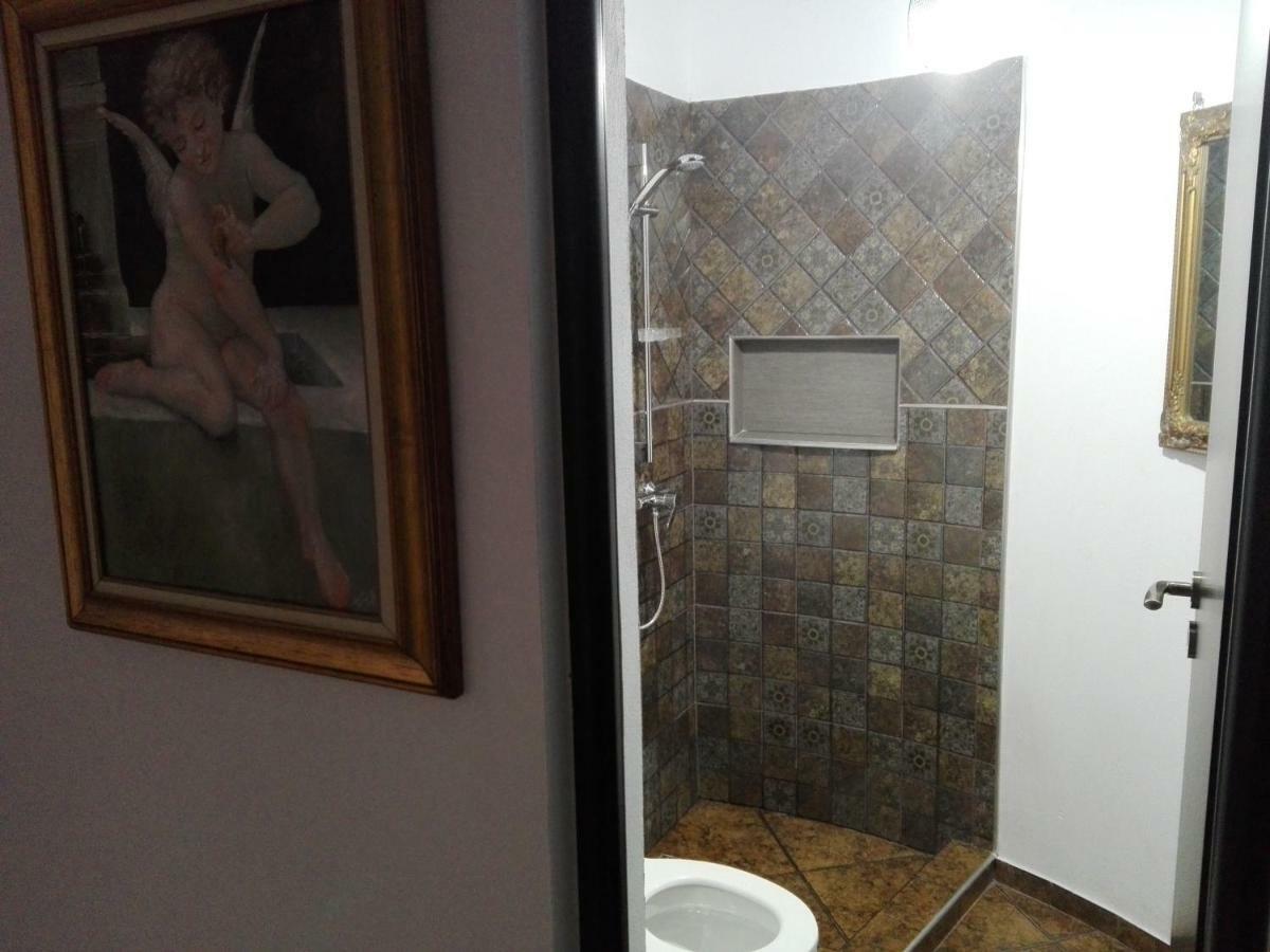 בורסא Pensiunea Timis מראה חיצוני תמונה